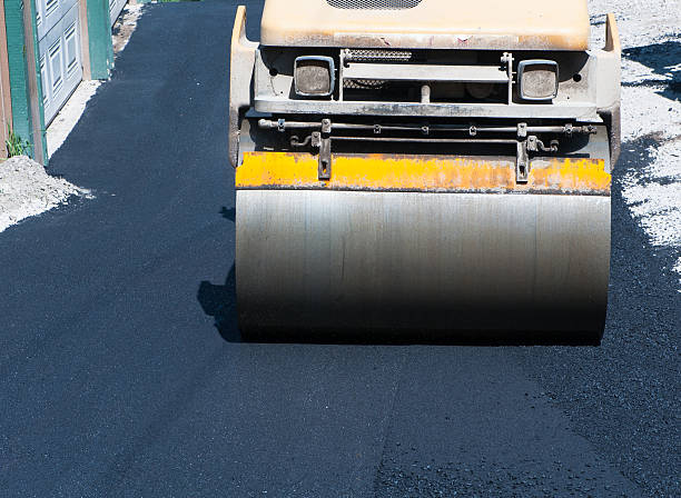 Best Driveway Repair and Patching  in Ravenel, SC